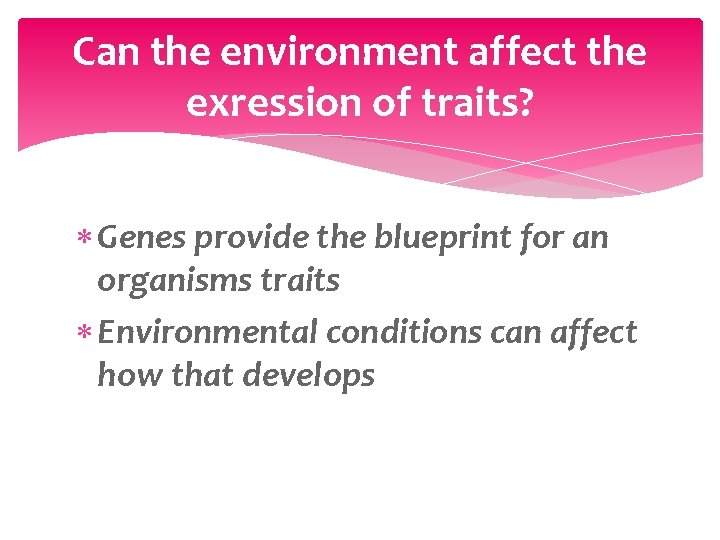 Can the environment affect the exression of traits? Genes provide the blueprint for an