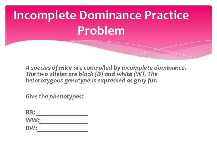 Incomplete Dominance Practice Problem A species of mice are controlled by incomplete dominance. The
