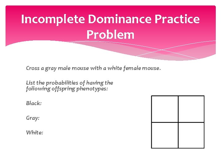 Incomplete Dominance Practice Problem Cross a gray male mouse with a white female mouse. Incomplete Dominance Practice Problem Cross a gray male mouse with a white female mouse.