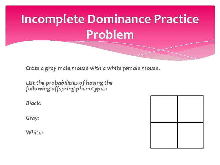 Incomplete Dominance Practice Problem Cross a gray male mouse with a white female mouse.