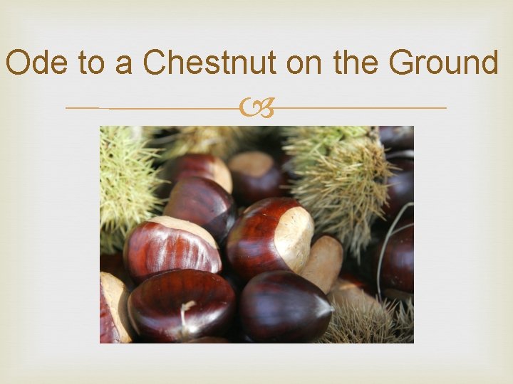 Ode to a Chestnut on the Ground 