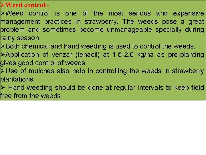 ØWeed control: ØWeed control is one of the most serious and expensive management practices