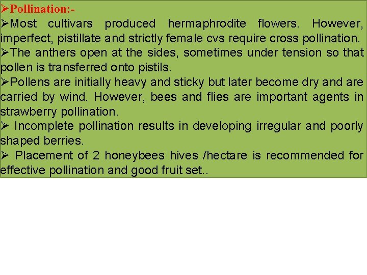 ØPollination: ØMost cultivars produced hermaphrodite flowers. However, imperfect, pistillate and strictly female cvs require