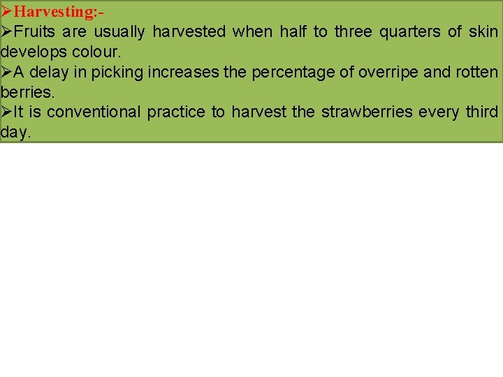 ØHarvesting: ØFruits are usually harvested when half to three quarters of skin develops colour.