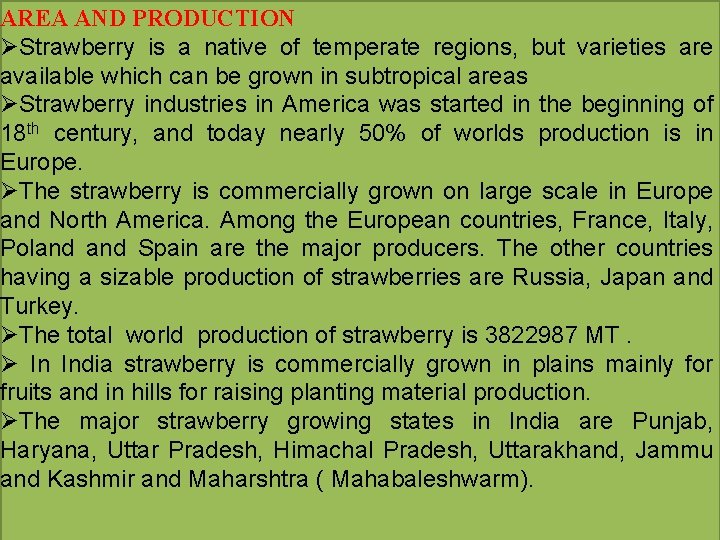 AREA AND PRODUCTION ØStrawberry is a native of temperate regions, but varieties are available