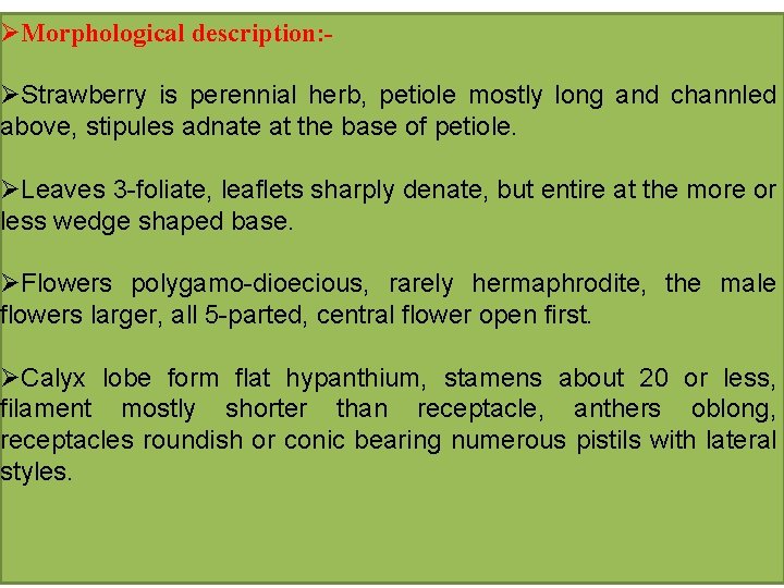 ØMorphological description: ØStrawberry is perennial herb, petiole mostly long and channled above, stipules adnate