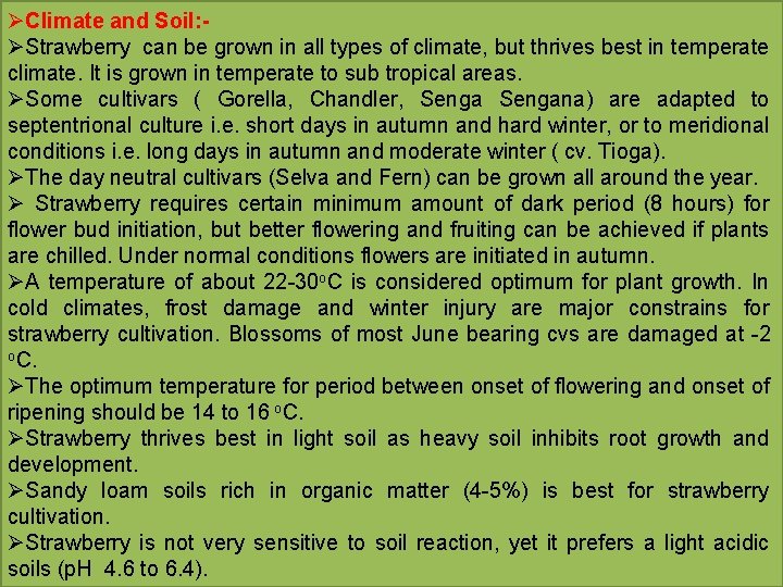 ØClimate and Soil: ØStrawberry can be grown in all types of climate, but thrives