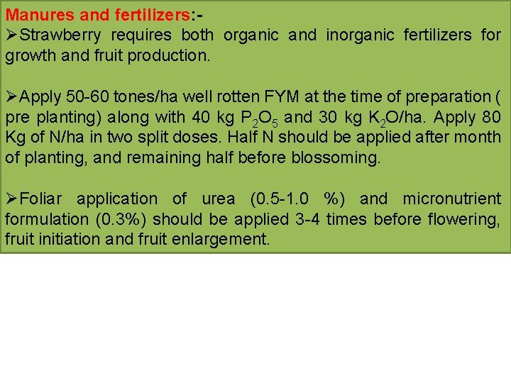 Manures and fertilizers: ØStrawberry requires both organic and inorganic fertilizers for growth and fruit