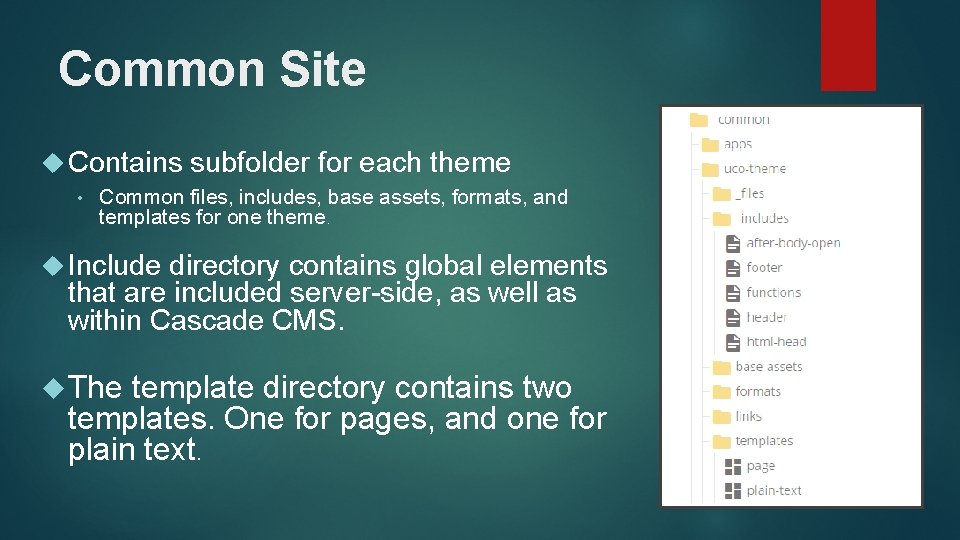 Common Site Contains • subfolder for each theme Common files, includes, base assets, formats,