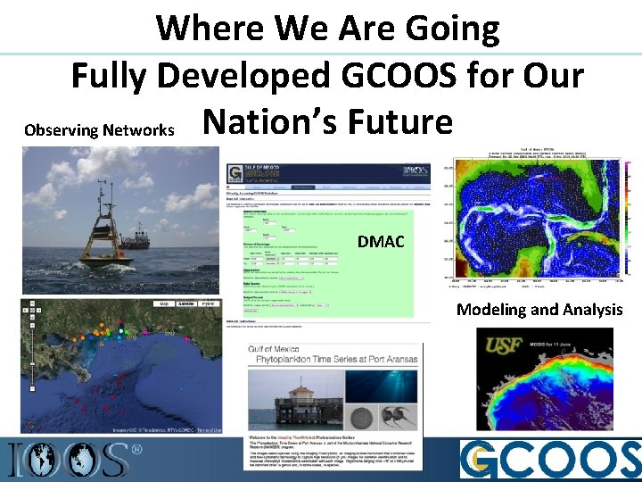 Where We Are Going Fully Developed GCOOS for Our Nation’s Future Observing Networks DMAC