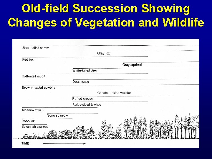 Old-field Succession Showing Changes of Vegetation and Wildlife 