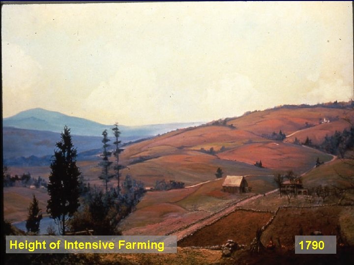 Height of Intensive Farming 1790 