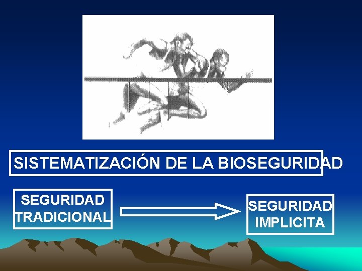 SISTEMATIZACIÓN DE LA BIOSEGURIDAD TRADICIONAL SEGURIDAD IMPLICITA 