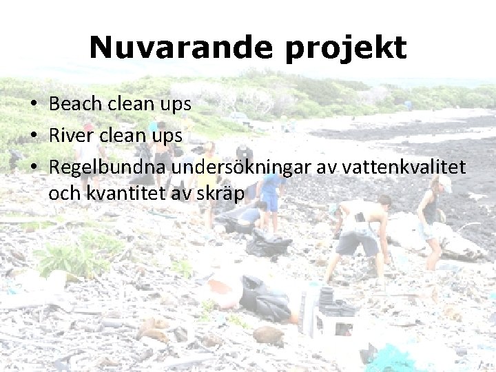 Nuvarande projekt • Beach clean ups • River clean ups • Regelbundna undersökningar av
