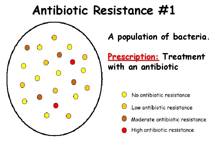 Antibiotic Resistance #1 A population of bacteria. Prescription: Treatment with an antibiotic 