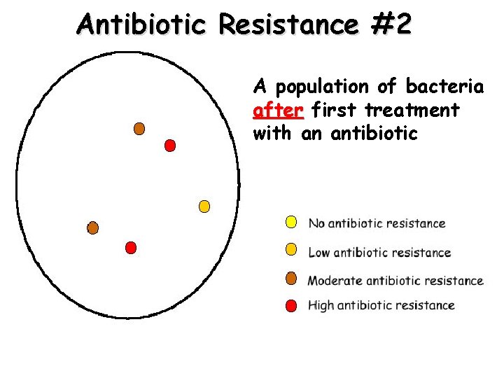 Antibiotic Resistance #2 A population of bacteria after first treatment with an antibiotic 