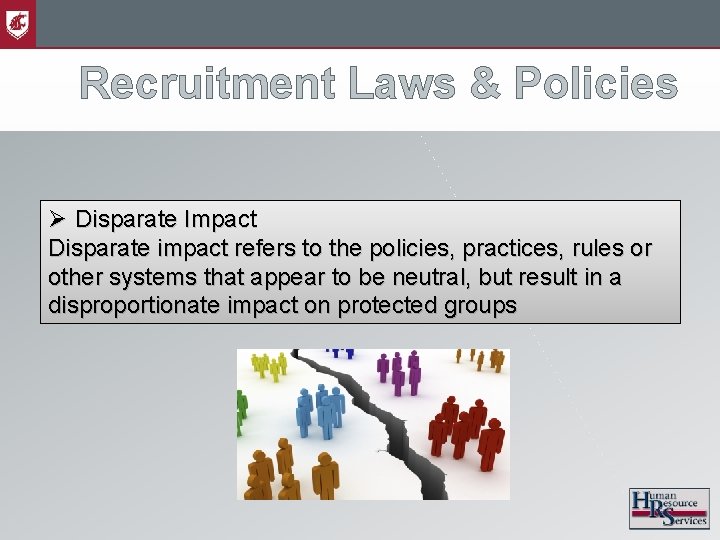 Recruitment Laws & Policies Ø Disparate Impact Disparate impact refers to the policies, practices,