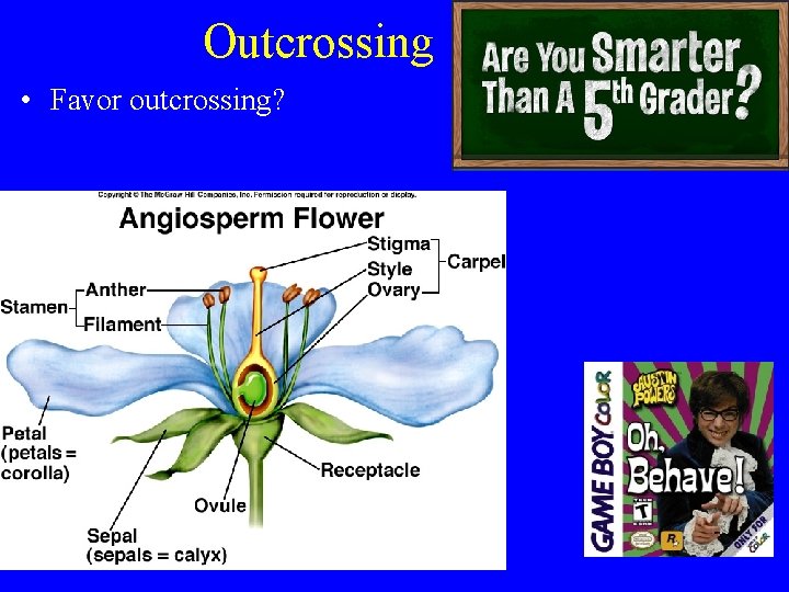 Outcrossing • Favor outcrossing? 