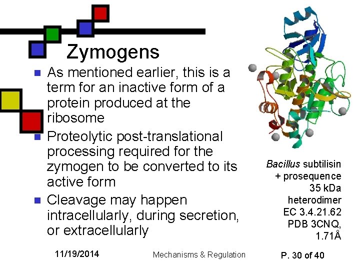 Zymogens n n n As mentioned earlier, this is a term for an inactive