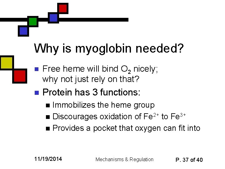 Why is myoglobin needed? n Free heme will bind O 2 nicely; why not