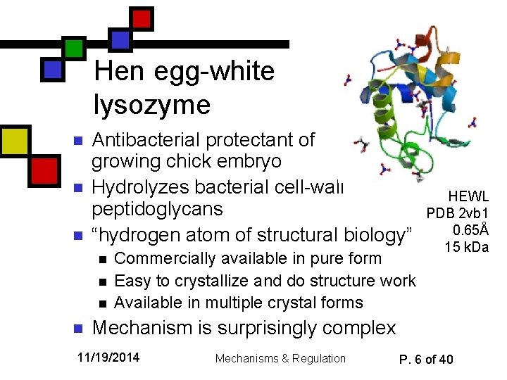 Hen egg-white lysozyme n n n Antibacterial protectant of growing chick embryo Hydrolyzes bacterial