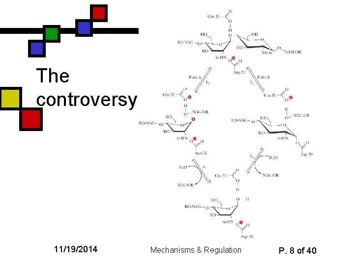 The controversy 11/19/2014 Mechanisms & Regulation P. 8 of 40 
