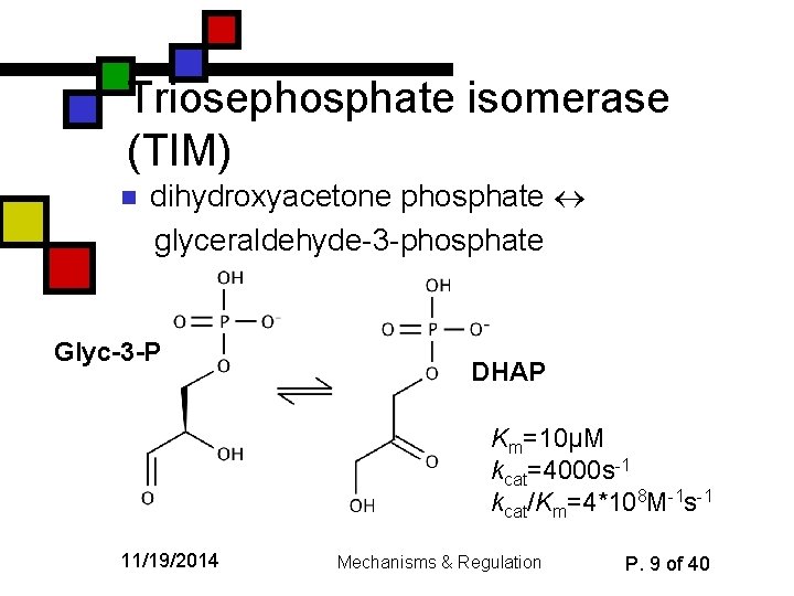 Triosephosphate isomerase (TIM) n dihydroxyacetone phosphate glyceraldehyde-3 -phosphate Glyc-3 -P DHAP Km=10µM kcat=4000 s-1