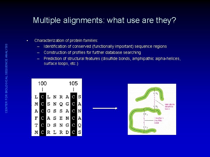 Multiple alignments: what use are they? CENTER FOR BIOLOGICAL SEQUENCE ANALYSIS • Characterization of