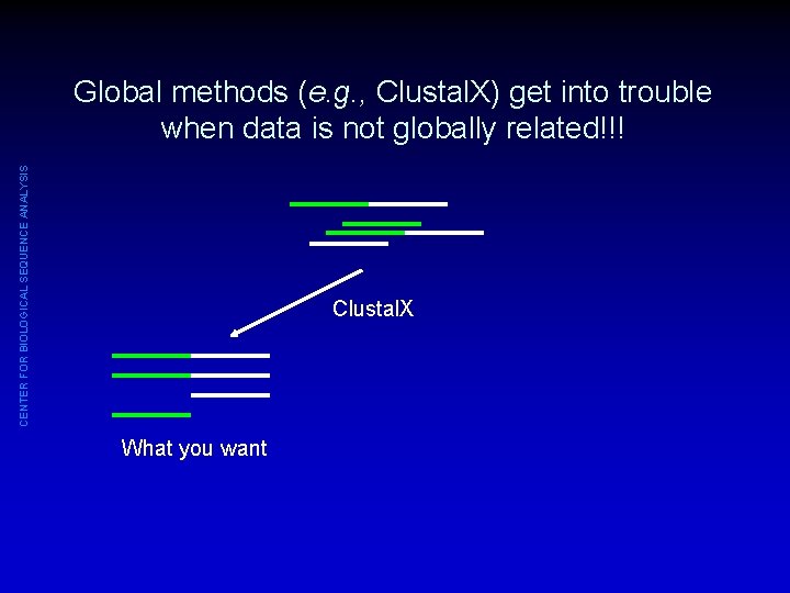 CENTER FOR BIOLOGICAL SEQUENCE ANALYSIS Global methods (e. g. , Clustal. X) get into