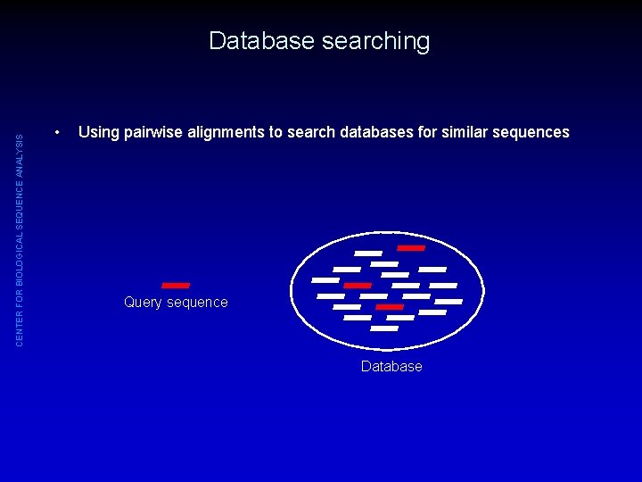 CENTER FOR BIOLOGICAL SEQUENCE ANALYSIS Database searching • Using pairwise alignments to search databases