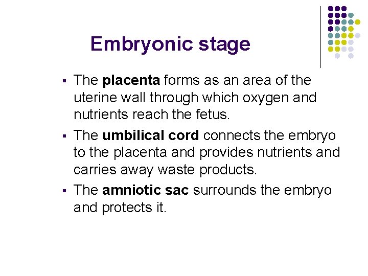 Embryonic stage § § § The placenta forms as an area of the uterine