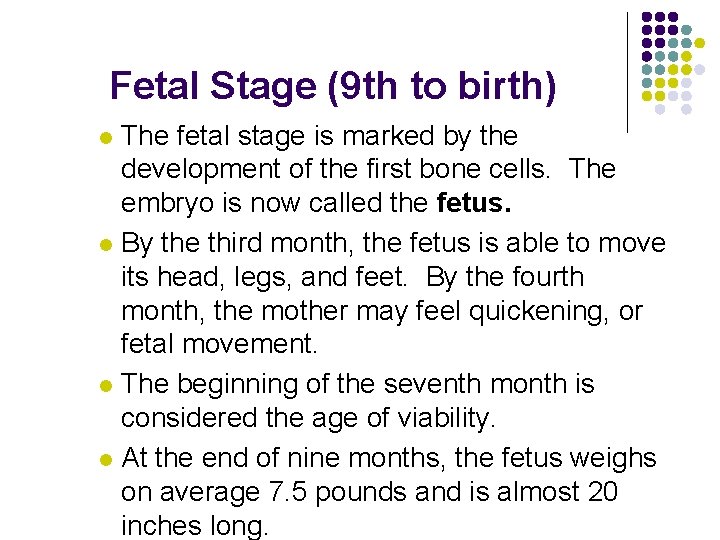 Fetal Stage (9 th to birth) The fetal stage is marked by the development Fetal Stage (9 th to birth) The fetal stage is marked by the development