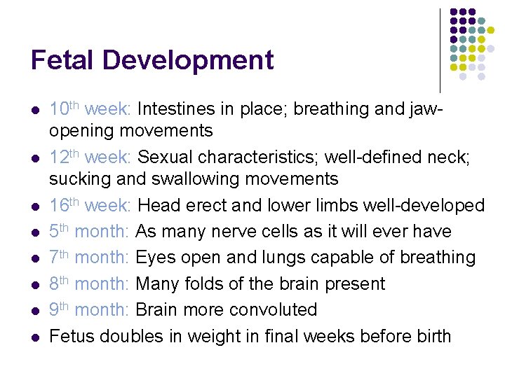 Fetal Development l l l l 10 th week: Intestines in place; breathing and