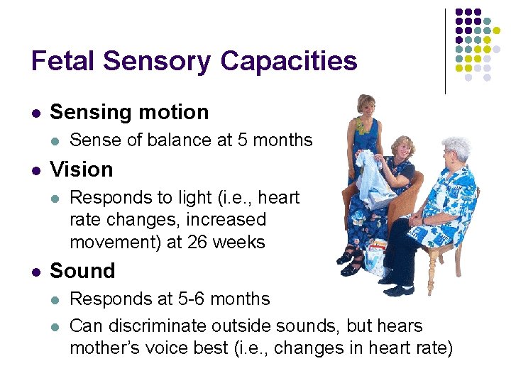 Fetal Sensory Capacities l Sensing motion l l Vision l l Sense of balance