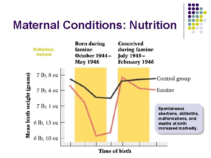 Maternal Conditions: Nutrition Rotterdam, Holland Spontaneous abortions, stillbirths, malformations, and deaths at birth increased Maternal Conditions: Nutrition Rotterdam, Holland Spontaneous abortions, stillbirths, malformations, and deaths at birth increased