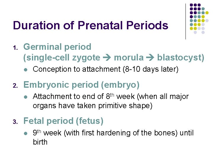 Duration of Prenatal Periods 1. Germinal period (single-cell zygote morula blastocyst) l 2. Embryonic
