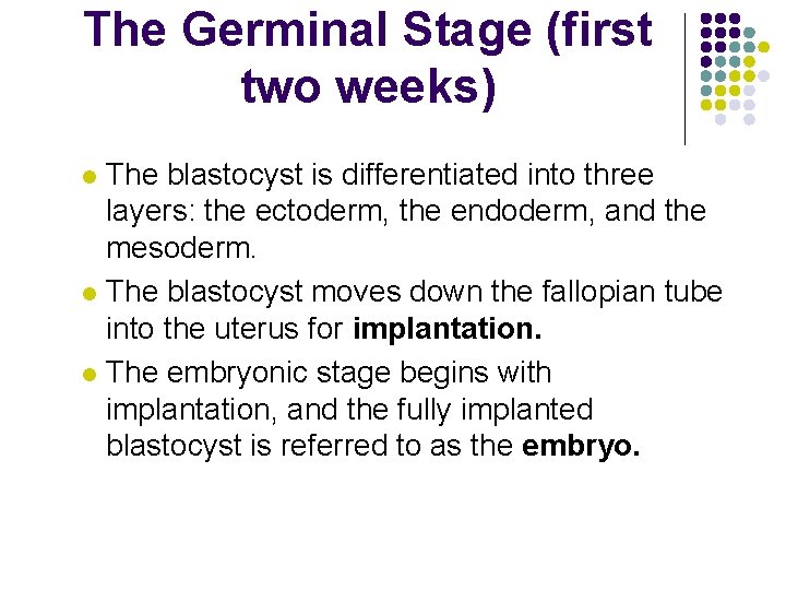 The Germinal Stage (first two weeks) The blastocyst is differentiated into three layers: the