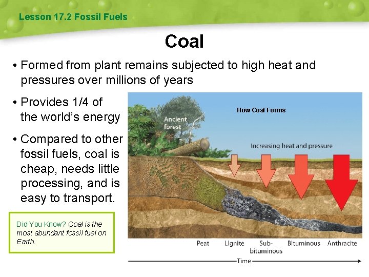 Lesson 17. 2 Fossil Fuels Coal • Formed from plant remains subjected to high