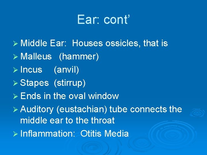 Ear: cont’ Ø Middle Ear: Houses ossicles, that is Ø Malleus (hammer) Ø Incus