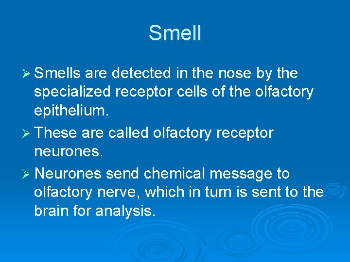 Smell Ø Smells are detected in the nose by the specialized receptor cells of