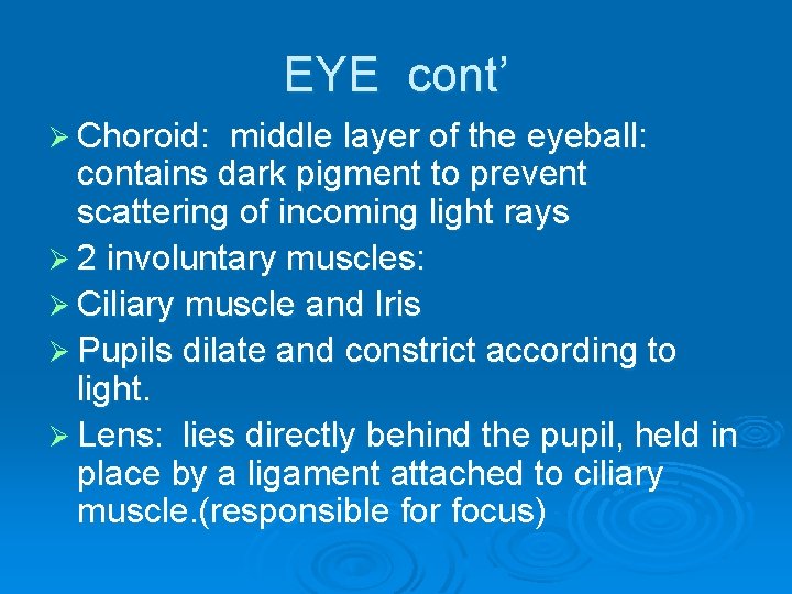 EYE cont’ Ø Choroid: middle layer of the eyeball: contains dark pigment to prevent