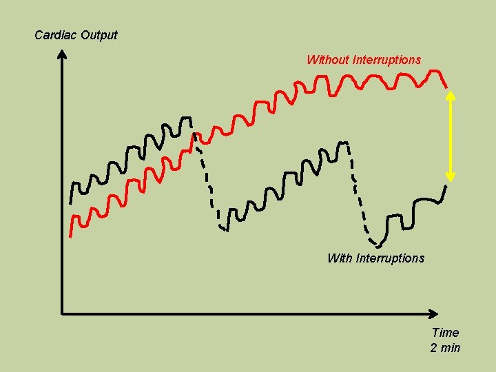 Cardiac Output Without Interruptions With Interruptions Time 2 min  Cardiac Output Without Interruptions With Interruptions Time 2 min