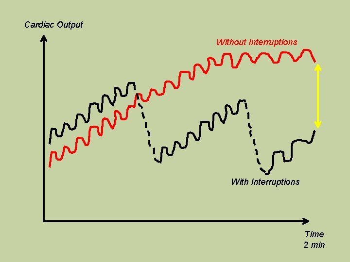 Cardiac Output Without Interruptions With Interruptions Time 2 min 