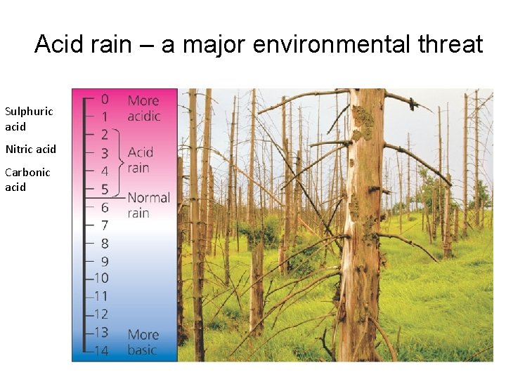 Acid rain – a major environmental threat Sulphuric acid Nitric acid Carbonic acid 