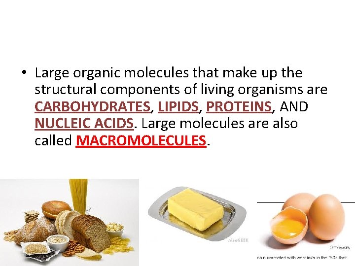  • Large organic molecules that make up the structural components of living organisms