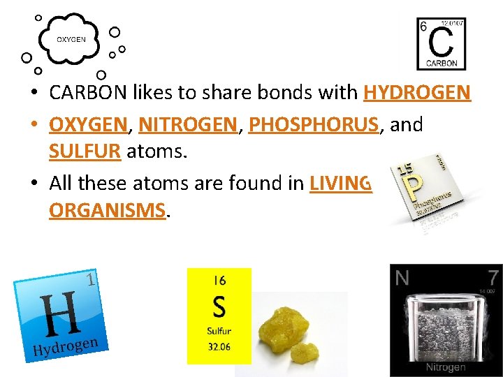  • CARBON likes to share bonds with HYDROGEN • OXYGEN, NITROGEN, PHOSPHORUS, and