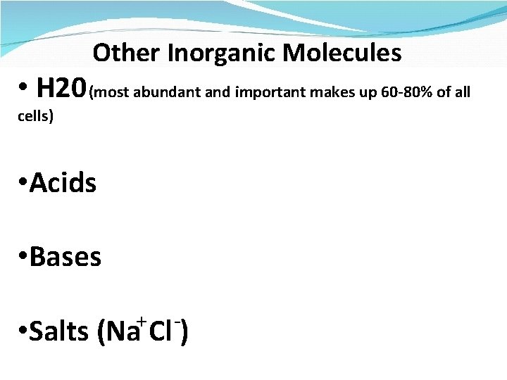 Other Inorganic Molecules • H 20 (most abundant and important makes up 60 -80%