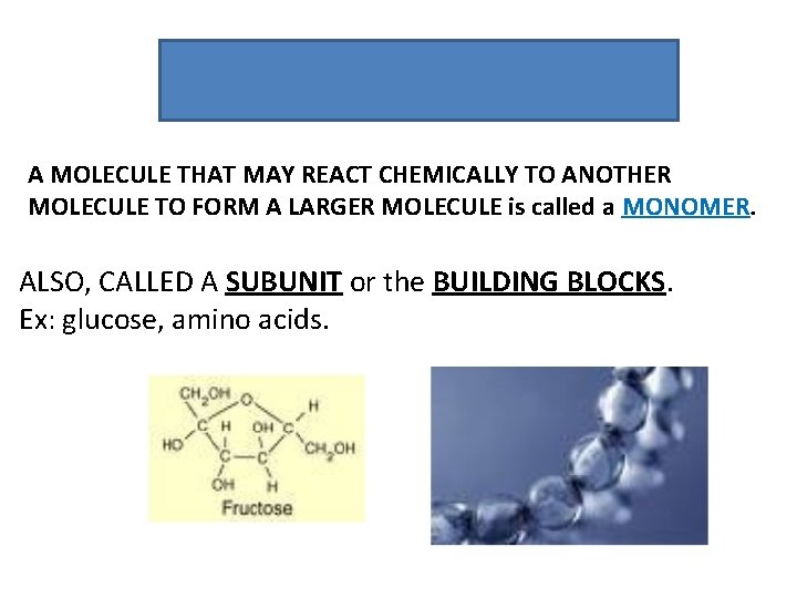 A MOLECULE THAT MAY REACT CHEMICALLY TO ANOTHER MOLECULE TO FORM A LARGER MOLECULE