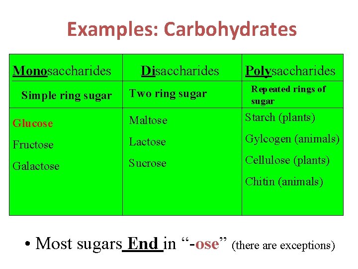 Examples: Carbohydrates Monosaccharides Simple ring sugar Disaccharides Two ring sugar Polysaccharides Repeated rings of