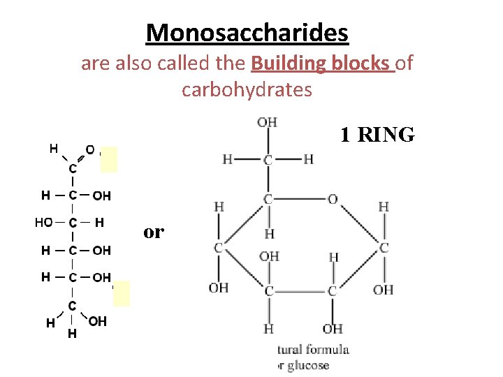 Monosaccharides are also called the Building blocks of carbohydrates 1 RING or 